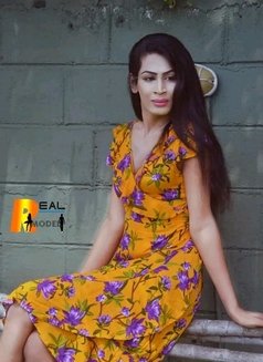 Queen Sandu Shemale Escort - Acompañantes transexual in Colombo Photo 11 of 14