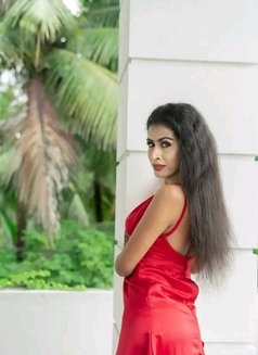 Queen Sandu Shemale Escort - Acompañantes transexual in Colombo Photo 12 of 14