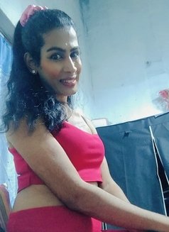 Queen Sandu Shemale Escort - Acompañantes transexual in Colombo Photo 13 of 14