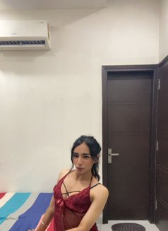 Queen Sanmeet - Acompañantes transexual in Ludhiana Photo 4 of 4
