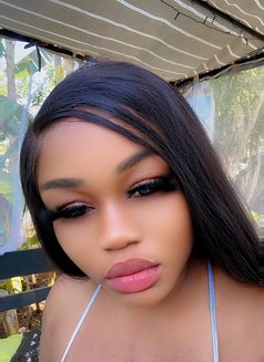 Queen - escort in Dakar Photo 3 of 3