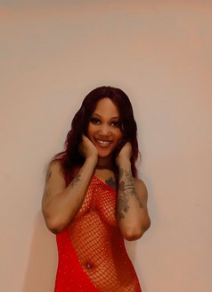 queen spice Gurgaon sector 50 - escort in Gurgaon Photo 9 of 9