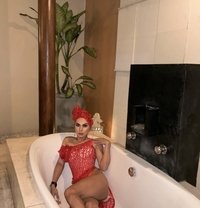 Queen Top for Your Fetish - Transsexual escort in Kuala Lumpur