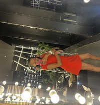 Queena - escort in Dubai