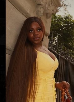 Queenci - escort in New Delhi Photo 1 of 1