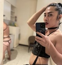 Queentiffanyph - Transsexual escort in Pattaya