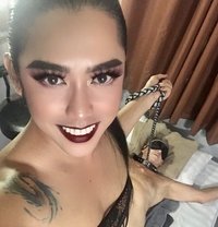 Queentiffanyph - Transsexual escort in Pattaya