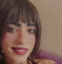 Quenmona - Acompañantes transexual in Cairo
