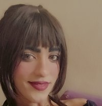 Quenmona - Acompañantes transexual in Cairo