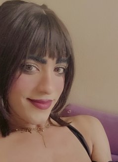 Quenmona - Transsexual escort in Cairo Photo 3 of 6