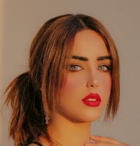 Quenmona - Acompañantes transexual in Cairo