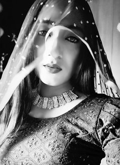 R O S E - Transsexual escort agency in New Delhi Photo 9 of 14