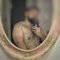 Raahul Male Escort/ Masseure - Acompañantes masculino in Bangalore Photo 3 of 7