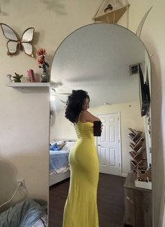 Rachel - escort in Tokyo Photo 1 of 4