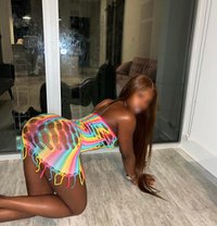 Cumdumpster & Anal 200$ - escort in Kampala
