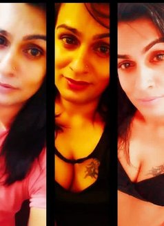 Radika Top Shemale - Acompañantes transexual in Colombo Photo 10 of 10