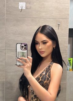 Queen Rafa BDSM - puta in Kuala Lumpur Photo 11 of 12