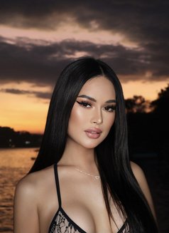 Rafa - escort in Kuala Lumpur Photo 12 of 15