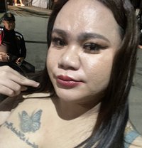 Chubby Top 6inch Hard Dick(KUTA) - Transsexual escort in Bali