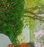Rahul Roy - Male escort in Mumbai Photo 1 of 6