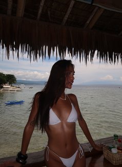 Rain-CamshowContents - Transsexual escort in Cebu City Photo 13 of 13