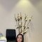 #Rain Ladyboy ,both , versatile ( Fuck h - Acompañantes transexual in Riyadh Photo 4 of 8