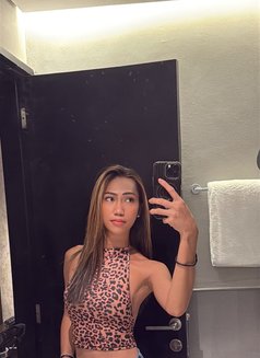 RAINE(Cam show/Meet up / Ts Manila - Transsexual escort in Makati City Photo 16 of 19