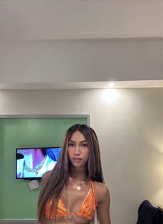 Raine - Transsexual escort in Manila Photo 23 of 30