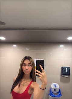 RAINEXXX - Transsexual escort in Manila Photo 1 of 20