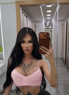 Victoria VIP Ukrainian 🇺🇦 - Acompañantes transexual in Riyadh Photo 16 of 16