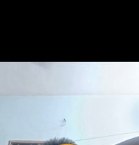 Raja - Male escort in Chennai