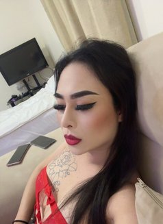 RAK π§ Lick your asshole - Transsexual escort in Ras al-Khaimah Photo 25 of 26