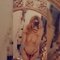 Deva🧿shiraz🧿 - Acompañantes transexual in Beirut Photo 2 of 21