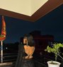 Rakhi Joshi - escort in Noida Photo 1 of 4