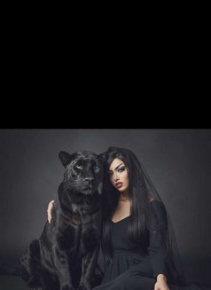 Ramaroro - Transsexual escort in Amman Photo 1 of 7