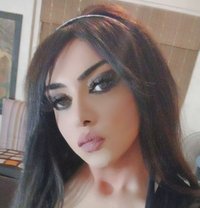 Ramaroro - Acompañantes transexual in Amman