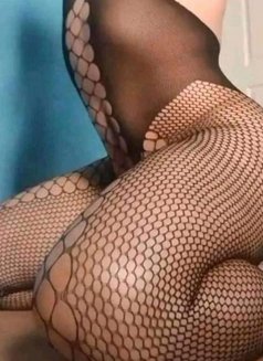 Ramaroro - Transsexual escort in Amman Photo 7 of 7