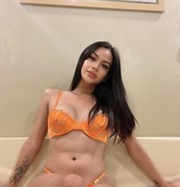 RAMONA ALESSANDRA (CAMSHOW, MEET) - Transsexual escort in Manila Photo 4 of 25