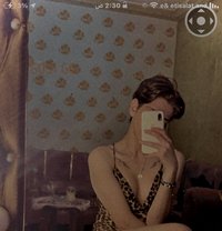 Ranen_El_Shams - Transsexual escort in Cairo