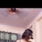 Rani Sen Big cock - Acompañantes transexual in Candolim, Goa Photo 3 of 14
