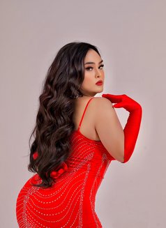 Rara amora - Transsexual escort in Jakarta Photo 30 of 30
