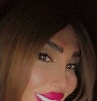 Rasha - Transsexual escort in Beirut