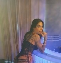 Rasha - Transsexual escort in Beirut