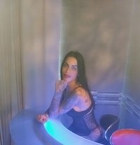 Rasha - Transsexual escort in Beirut