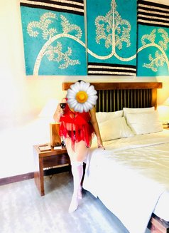 Rashmi frenando Office Girl - escort in Colombo Photo 19 of 20