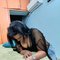 Ratika - Transsexual escort in Hyderabad Photo 3 of 6