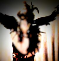 Raven - puta in Kamloops