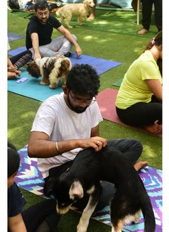 Ravi T - Acompañante masculino in Bangalore Photo 2 of 4