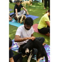 Ravi T - Male companion in Bangalore