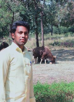Ravipati Srikanth - Acompañantes masculino in Pune Photo 1 of 1